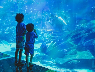 Bahrain S Water Garden Is Set To Reopen In March Attractions Time Out Bahrain Mall of dilmunia #amwaj bahrain #bahrain vlog #bahrain aquarium. water garden is set to reopen in march